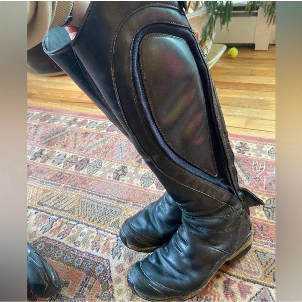 Ariat volant